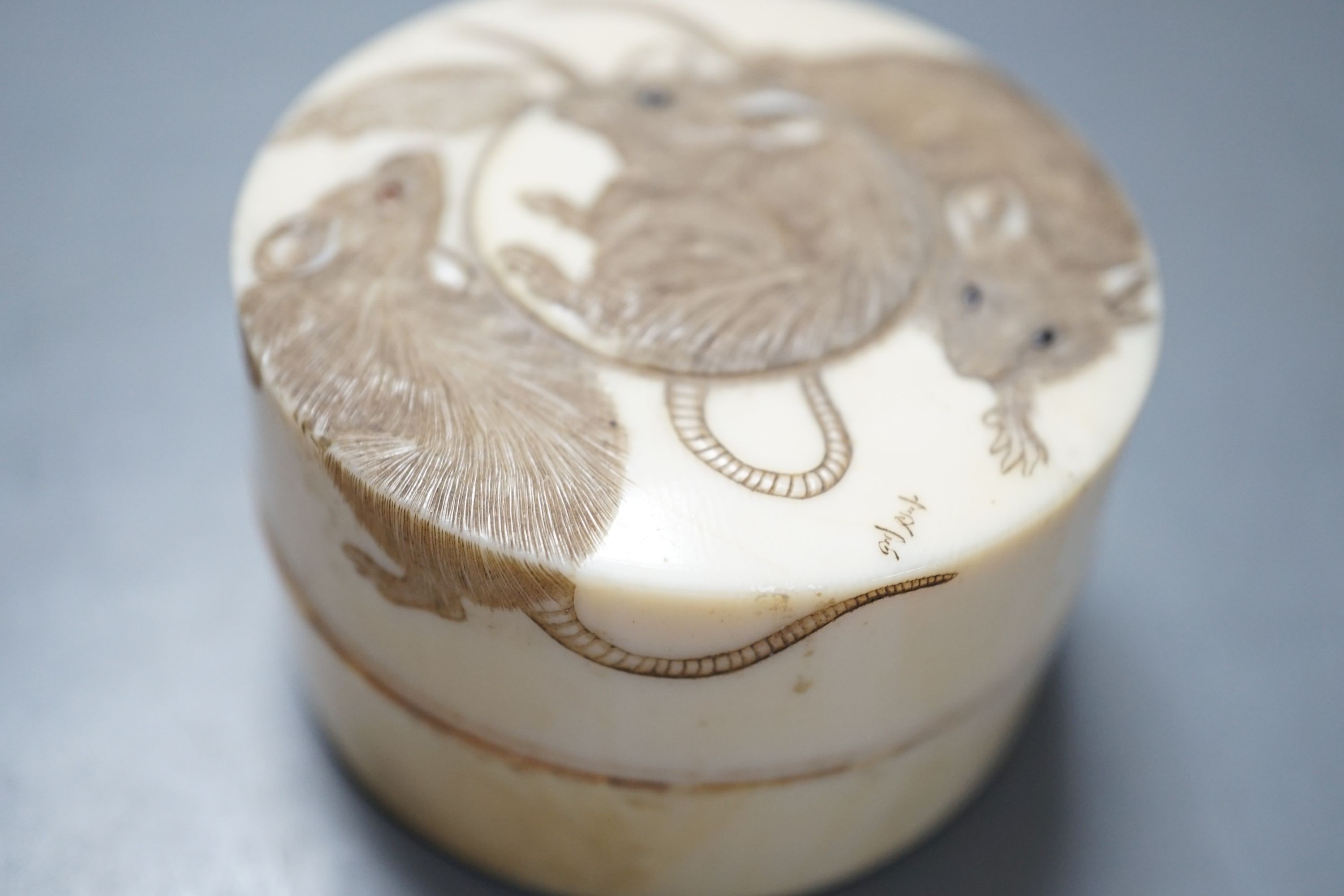 A Japanese Meiji period carved Ivory box and cover, decorated with three rats, signed, 6.5cm